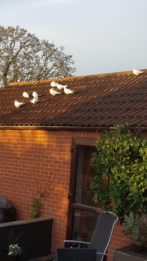 The White Dove Bed And Breakfast With Glamping Newark Showground Eksteriør billede