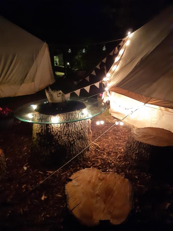 The White Dove Bed And Breakfast With Glamping Newark Showground Eksteriør billede
